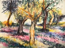 Aquarell-Olivenhain-in-Andalusien-Spanien