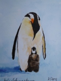 Postkarte_Pinguin